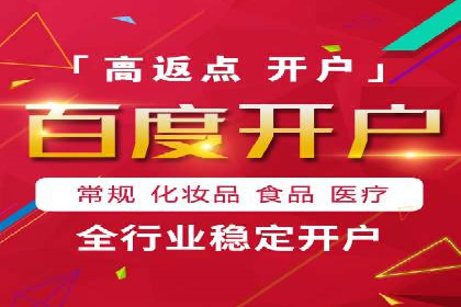 百度推广成功案例：打造行业领军品牌之路